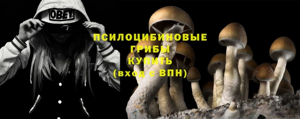 дмт Абаза