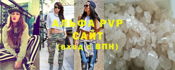 дмт Абаза