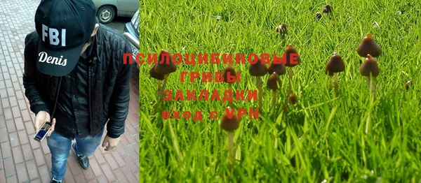 МДПВ Алексин