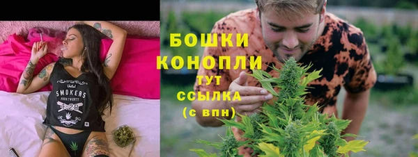 дмт Абаза