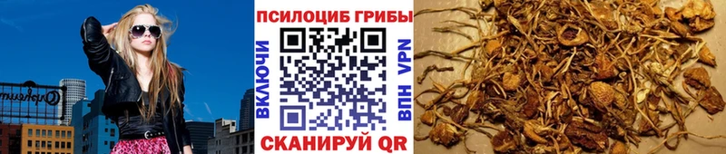даркнет клад  Ува  Псилоцибиновые грибы GOLDEN TEACHER  где можно купить наркотик 